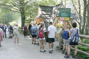 m33_5770.jpg