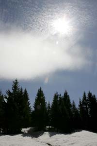 m48_8700.jpg