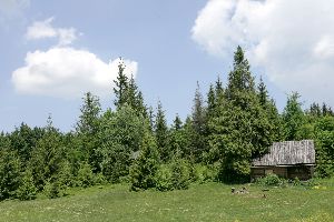 m74_4998.jpg