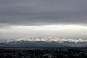 m80_6923.jpg