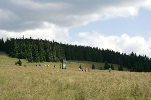 m76_5752.jpg