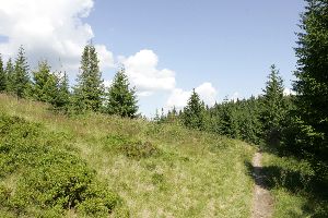 m76_5861.jpg