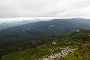 m92_5857.jpg