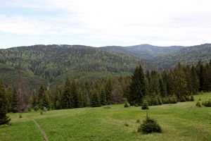 m89_3846.jpg