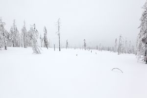 m86_8882.jpg