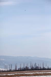j06_8294.jpg