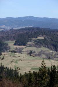 j29_7755.jpg