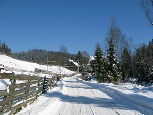 j25_2099.jpg